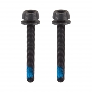 Disc Adapter Screws