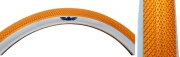 Speedster